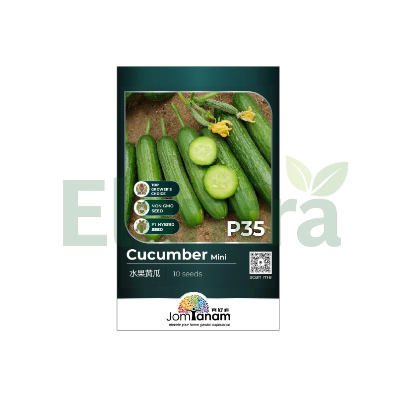 P55 CUCUMBER MINI